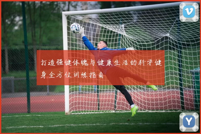 打造强健体魄与健康生活的科学健身全方位训练指南