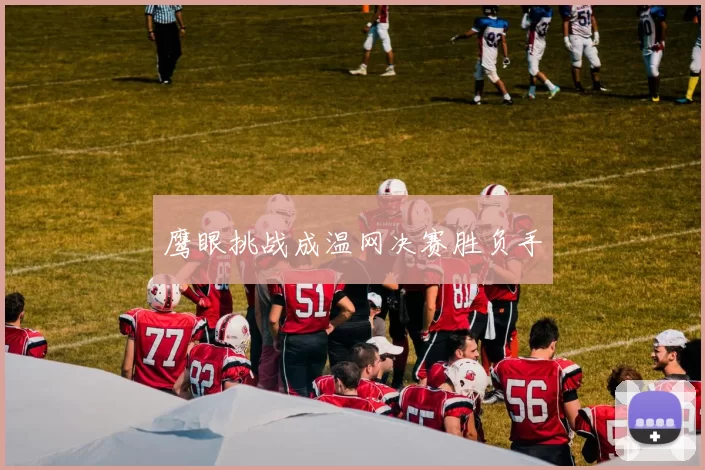 鹰眼挑战成温网决赛胜负手