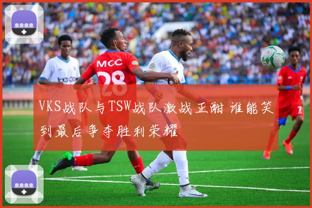 VKS战队与TSW战队激战正酣 谁能笑到最后争夺胜利荣耀