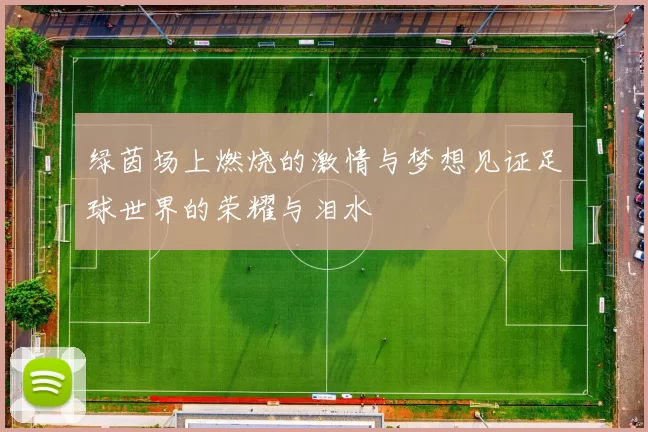 绿茵场上燃烧的激情与梦想见证足球世界的荣耀与泪水